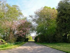 Kilmartin法克托乡村别墅的两边有树木的道路