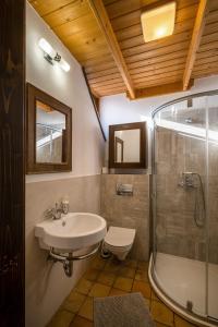 TagyonTagyon Birtok Royal Apartmanház的一间带水槽、卫生间和淋浴的浴室
