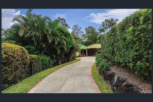 NinderryNoosa hinterland acreage close to the beach的通往树木和灌木丛的房子的车道