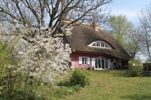 普特布斯Altes Waschhaus Krakvitz的红房子,有黑色的屋顶和一棵开花的树