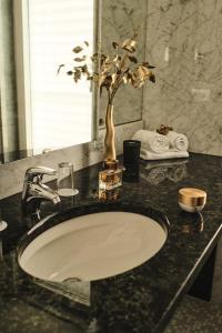 阿姆施泰滕埃克塞尔酒店的浴室的柜台设有水槽和镜子