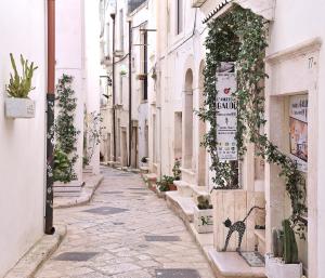 普蒂尼亚诺l'angolo di Gaudì, alcoba Blanca的老城区的一条小巷,上面画着一只猫