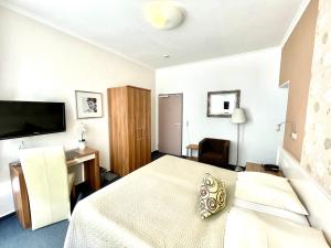 萨尔堡萨尔堡霍夫酒店的一间卧室配有一张床、一张书桌和一台电视