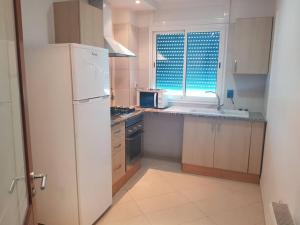 突尼斯Lovely apartment near Tunis Mall - Lac2 Tunis的厨房配有白色冰箱和水槽