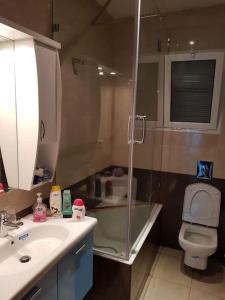 突尼斯Lovely apartment near Tunis Mall - Lac2 Tunis的带淋浴、盥洗盆和卫生间的浴室