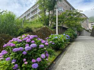 箱根Gora Onsen Kinkaku 金閣莊 預約制免費個人湯屋 Private onsen free by Reservation的一座花园,花园旁边一座建筑