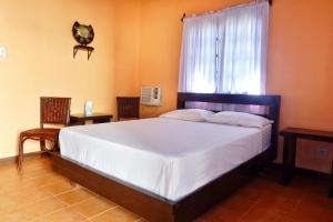 AbuPuesta del sol Beach Bungalows and Restobar的一间卧室设有一张大床和一个窗户。