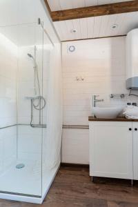 斯扎法拉瑞Tiny House w Camp Gorący Potok的一间带水槽和玻璃淋浴的浴室