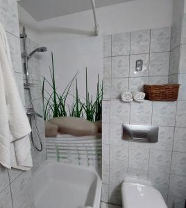 普雷罗"SüdWest" Ferienwohnung的带浴缸和卫生间的浴室。