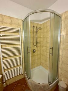 茨里克韦尼察Ivana apartman 3的浴室里设有玻璃门淋浴