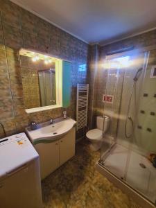 比斯特里察Nosen Apartment的一间带水槽、淋浴和卫生间的浴室