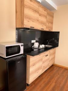 包斯卡SPA&Hotel MŪSA PARADISE的厨房配有黑色冰箱和微波炉。