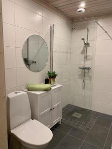 ÅmotsforsStuga i Valfjället的浴室设有卫生间和带镜子的淋浴