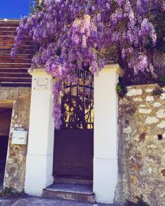 旺斯La Reposée, bas de villa en plein cœur de Vence的挂在上面的紫色紫藤门