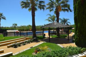 韦尔瓦Luxury Apartment in Marina de Isla Canela- Beach Front的一座种有棕榈树和遮阳伞的公园