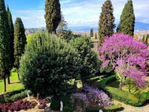 佛罗伦萨纳迪别墅迪颇卡公寓酒店的花园的图象,花园中种满了树木和花卉