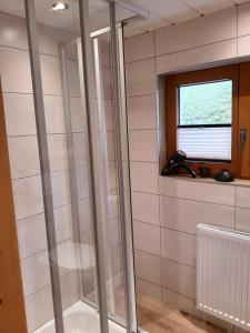 菲根贝格Wildauhof - Bauernhaus的带窗户的浴室内的玻璃淋浴间