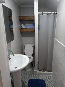 彼得斯堡Cute 1 Bdrm House that sleeps 3的浴室配有白色水槽和卫生间。