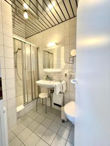 萨尔堡萨尔堡霍夫酒店的一间带水槽、淋浴和卫生间的浴室