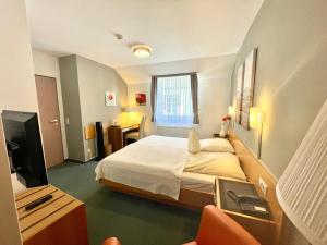 萨尔堡萨尔堡霍夫酒店的酒店客房,配有床和电视