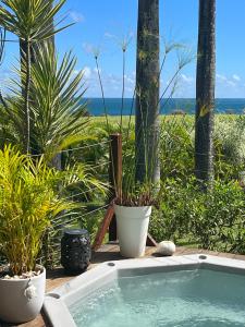 圣罗斯Indigo Palmes的一座植物和海洋背景的热水浴池