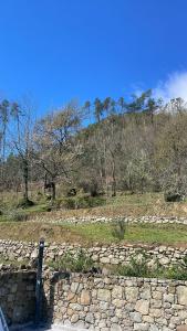 贝韦里诺VILLA DELLE ROSE CINQUE TERRE的山坡上树木林立的石墙