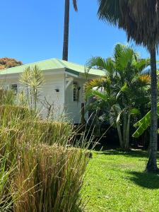 圣罗斯Indigo Palmes的一座棕榈树掩映的白色房子