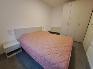 莱德罗Casa Balù的一间小卧室,配有粉红色的床和橱柜