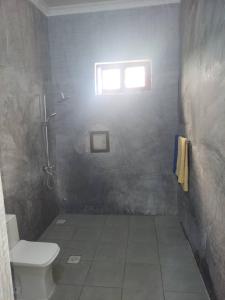 基济姆卡济Villa Pumziko的一间带卫生间和窗户的浴室