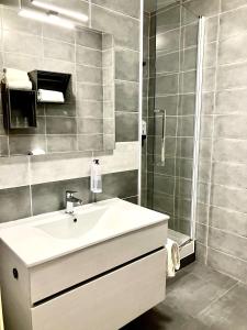 圣马迪拉莫卢马克斯酒店的一间带水槽和淋浴的浴室