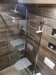 贝尔格莱德Apartman Darvin / Lux的浴室设有玻璃淋浴间和卫生间