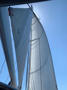 勒卡特voilier Santa Clara的一艘大白帆船,背面有天空