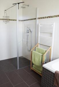 吕本Ferienwohnungen am Roten Nil的带淋浴的浴室和玻璃门