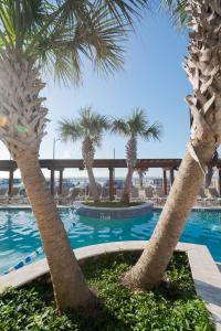 加尔维斯敦加多的海滨汽车旅馆的棕榈树和游泳池度假村
