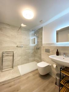 布劳讷贝格FeWo Sonnenlay - Apartments an der Mosel的带淋浴、卫生间和盥洗盆的浴室