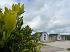 金斯布里奇Cosy Glamping Pod with shared facilities, Nr Kingsbridge and Salcombe的享有建筑背景的房屋景色