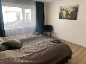 奥勒松3 rooms apartment in Center的一间卧室配有一张带椅子的床和一扇窗户