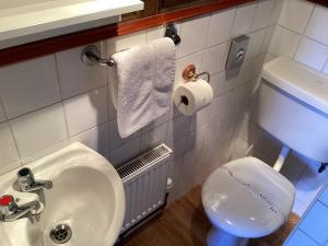 科特布里奇Auchenlea bed and breakfast的浴室配有白色卫生间和盥洗盆。
