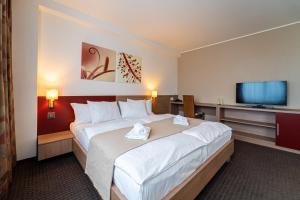 胡门内阿里巴巴酒店的一间酒店客房,配有一张大床和一台平面电视