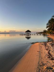 珀拉什奇亚Bella Sway Belize的拥有码头和棕榈树的海滩