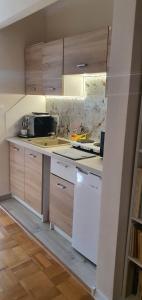 切霍齐内克Willa 118的厨房配有木制橱柜和白色冰箱。