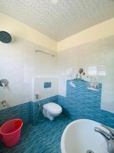 乌提Tulips Valley View Resorts的一间带卫生间和水槽的浴室