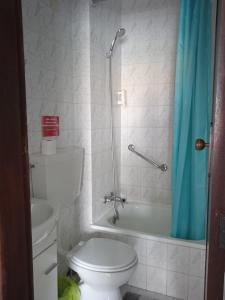 普拉亚德米拉Canadian Star的浴室设有卫生间和带蓝色淋浴帘的淋浴。