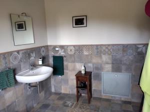 TresanaCa Giacomo的一间带水槽和镜子的浴室