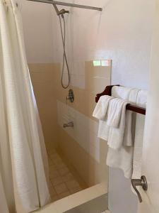 Port ElizabethThe View Villa的带淋浴和白色毛巾的浴室