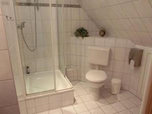 SchwesingLandquartier的白色的浴室设有卫生间和淋浴。