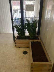 雅典Modern studio apartment B的一间房间,有两个木箱,上面有植物