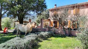 博尔马斯·莱斯·米默萨斯UNE PAUSE EN FORET A LA FERME的站在房子旁边的院子中的马