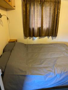 阿伯里斯特威斯Bazanmoes Shed No: 49的卧室内的一张床位,带窗户