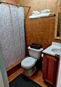 曼德维尔Comfort Cottage at the Grove的浴室配有卫生间、盥洗盆和淋浴。
